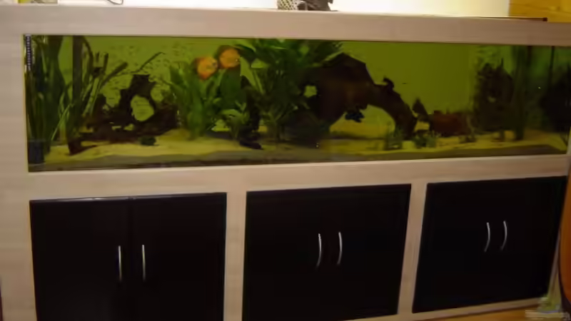 Aquarium Hauptansicht von Becken 1448 Aquarium Hauptansicht von Becken 1448