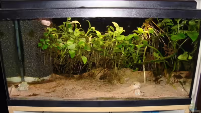 Aquarium Hauptansicht von Becken 1480 Aquarium Hauptansicht von Becken 1480