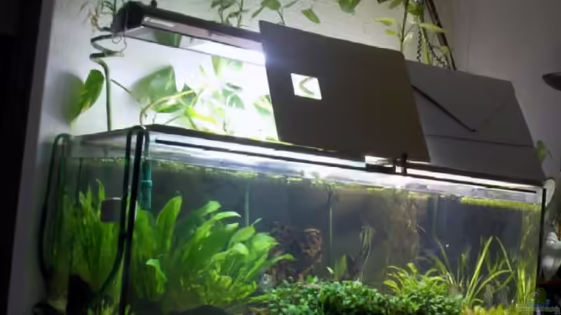 Aquarium Hauptansicht von Becken 1483 Aquarium Hauptansicht von Becken 1483