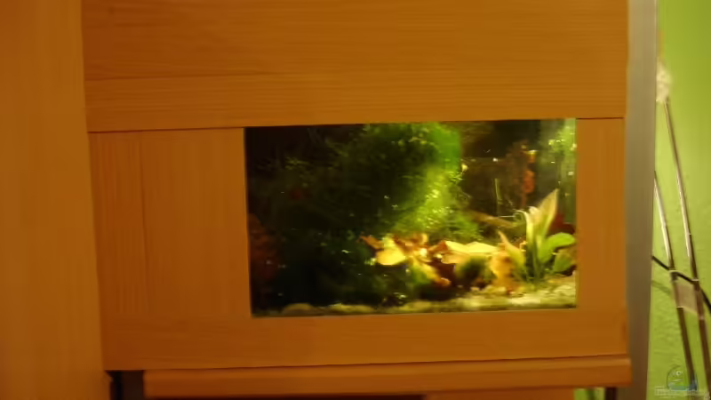 Aquarium Hauptansicht von Becken 15071 Aquarium Hauptansicht von Becken 15071