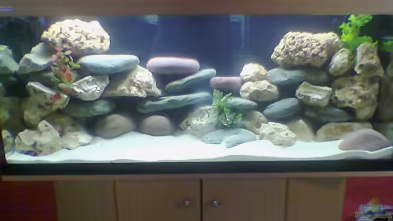 Aquarium Hauptansicht von Becken 1573 Aquarium Hauptansicht von Becken 1573