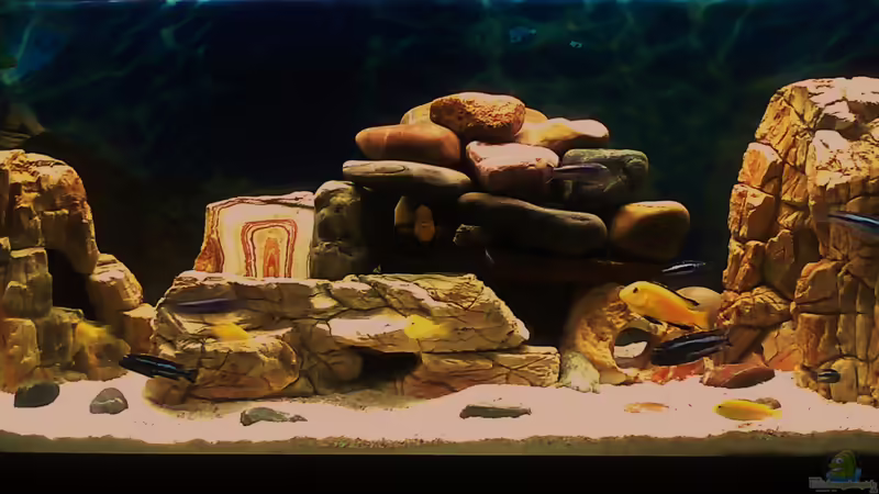 Aquarium Hauptansicht von Becken 16346 Aquarium Hauptansicht von Becken 16346