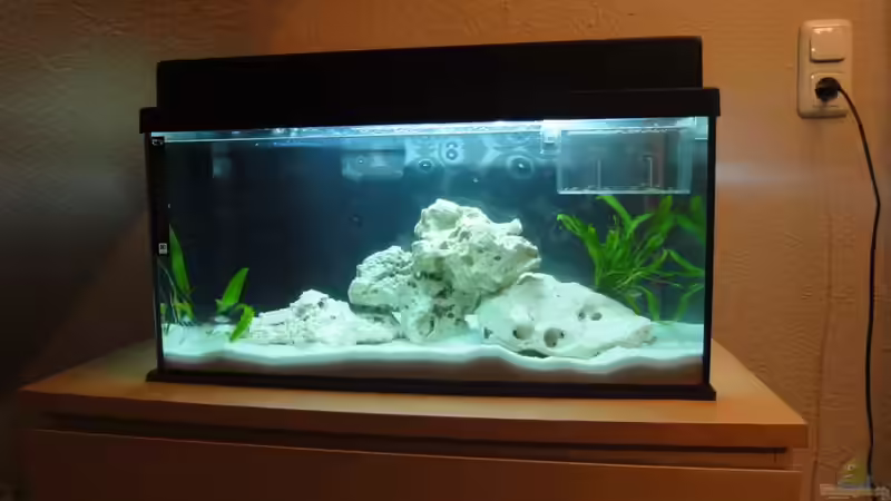 Aquarium Hauptansicht von Becken 16574 Aquarium Hauptansicht von Becken 16574