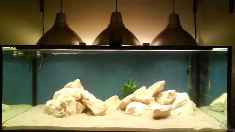 Aquarium Hauptansicht von Becken 16669 Aquarium Hauptansicht von Becken 16669