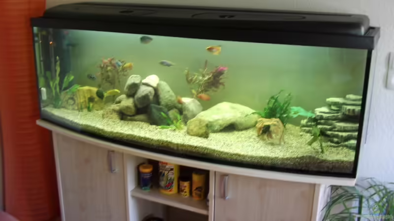 Aquarium Hauptansicht von Becken 17115 Aquarium Hauptansicht von Becken 17115