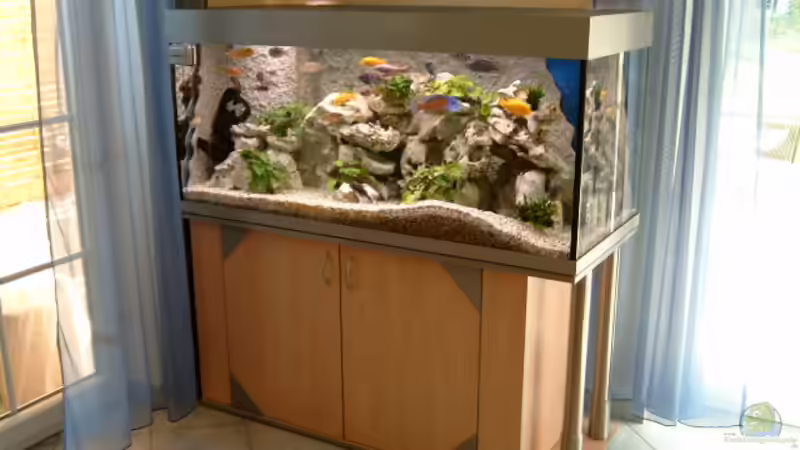 Aquarium Hauptansicht von Becken 1712 Aquarium Hauptansicht von Becken 1712