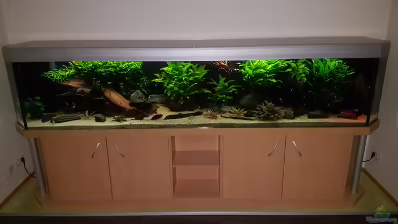 Aquarium Hauptansicht von Becken 18144 Aquarium Hauptansicht von Becken 18144