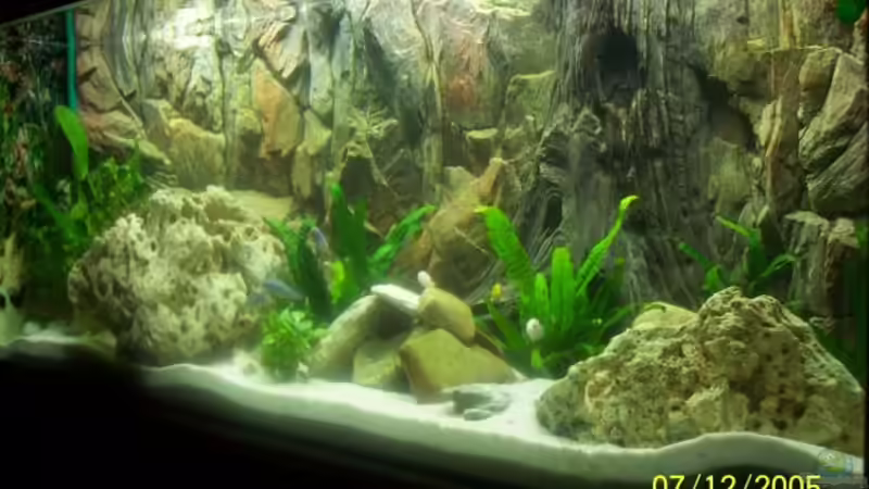 Aquarium Hauptansicht von Becken 1881 Aquarium Hauptansicht von Becken 1881