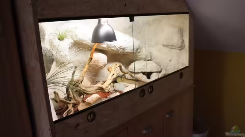 Aquarium Hauptansicht von Becken 18981 Aquarium Hauptansicht von Becken 18981