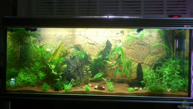 Aquarium Hauptansicht von Becken 22188 Aquarium Hauptansicht von Becken 22188