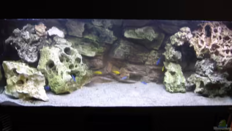 Aquarium Hauptansicht von Becken 2351 Aquarium Hauptansicht von Becken 2351