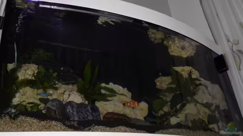 Aquarium Hauptansicht von Becken 25630 Aquarium Hauptansicht von Becken 25630