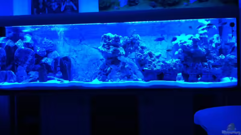 Aquarium Hauptansicht von Becken 25658 Aquarium Hauptansicht von Becken 25658