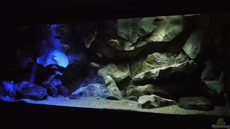 Aquarium Hauptansicht von Becken 29067 Aquarium Hauptansicht von Becken 29067