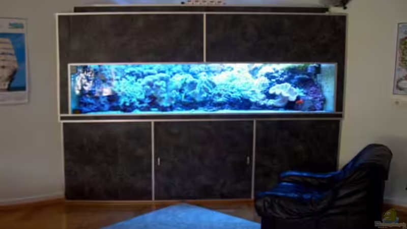 Aquarium Hauptansicht von Becken 2922 Aquarium Hauptansicht von Becken 2922