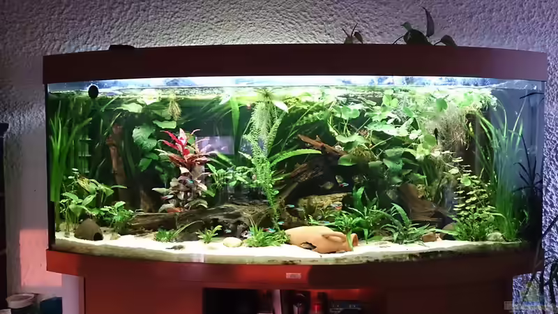 Aquarium Hauptansicht von Becken 29580 Aquarium Hauptansicht von Becken 29580