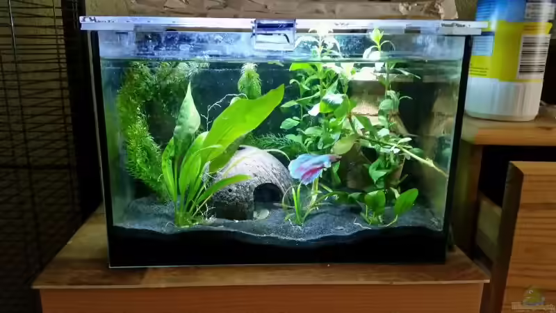 Aquarium Hauptansicht von Becken 30618 Aquarium Hauptansicht von Becken 30618