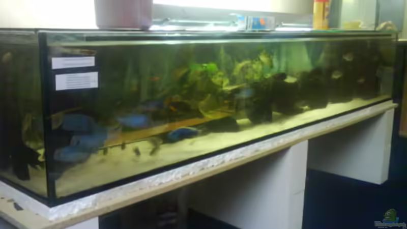 Aquarium Hauptansicht von Becken 3183 Aquarium Hauptansicht von Becken 3183