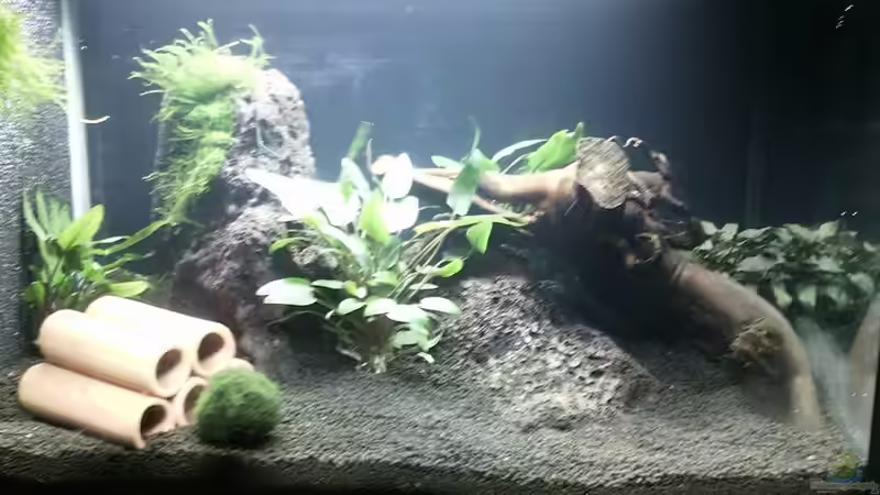 Aquarium Hauptansicht von Becken 32134 Aquarium Hauptansicht von Becken 32134