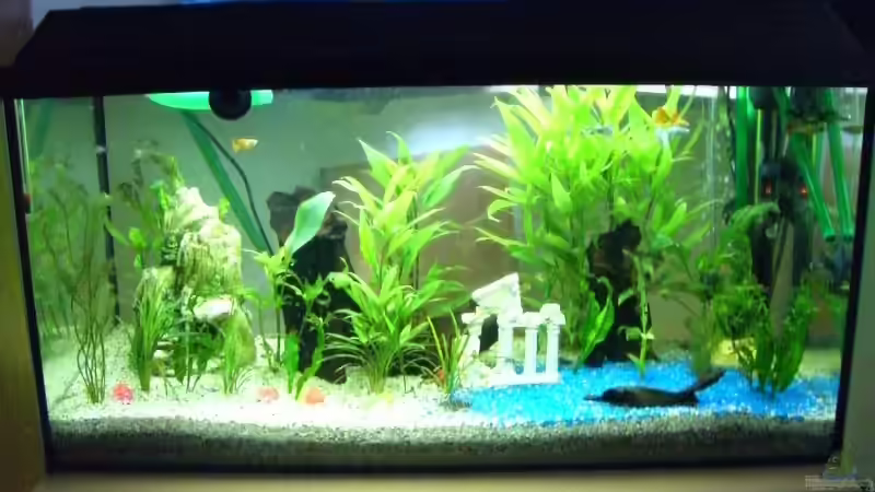 Aquarium Hauptansicht von Becken 3220 Aquarium Hauptansicht von Becken 3220