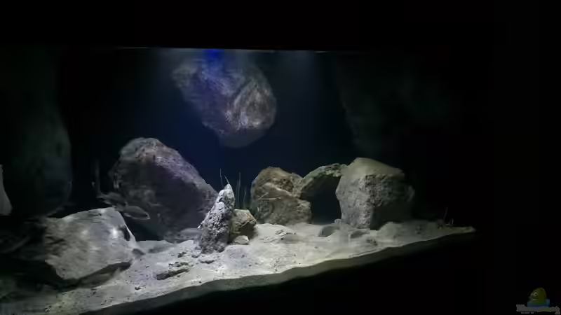 Aquarium Hauptansicht von Becken 32516 Aquarium Hauptansicht von Becken 32516