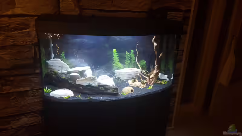 Aquarium Hauptansicht von Becken 32693 Aquarium Hauptansicht von Becken 32693