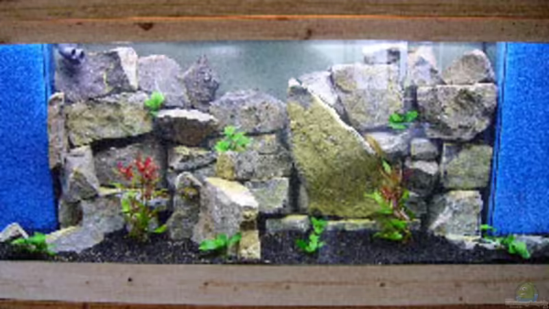 Aquarium Hauptansicht von Becken 3275 Aquarium Hauptansicht von Becken 3275