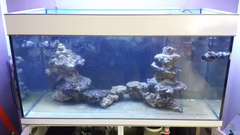 Aquarium Hauptansicht von Becken 32888 Aquarium Hauptansicht von Becken 32888