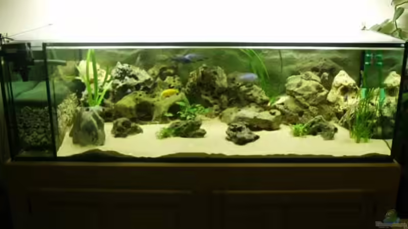 Aquarium Hauptansicht von Becken 329 Aquarium Hauptansicht von Becken 329