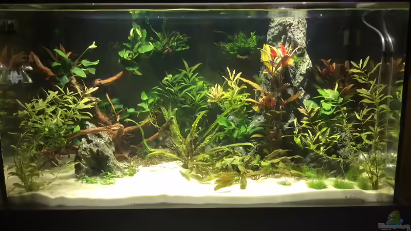 Aquarium Hauptansicht von Becken 33060 Aquarium Hauptansicht von Becken 33060