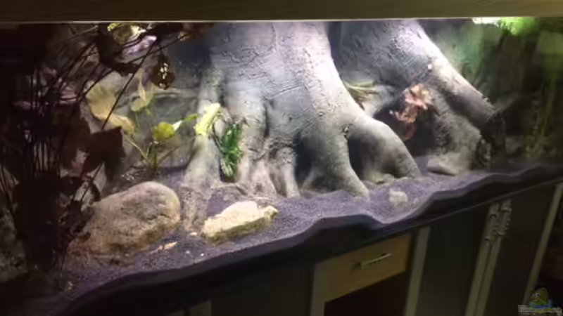 Aquarium Hauptansicht von Becken 33220 Aquarium Hauptansicht von Becken 33220