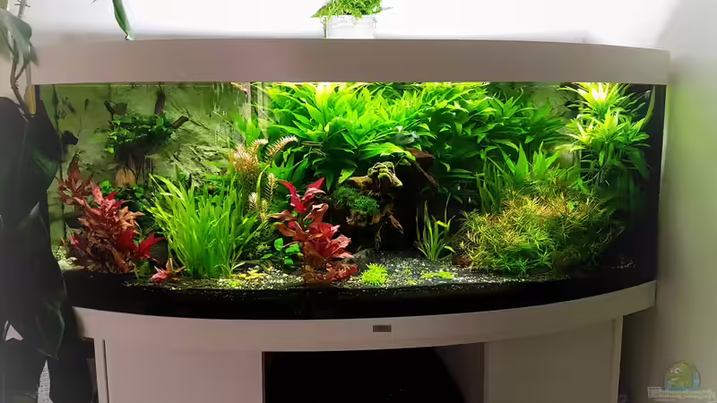 Aquarium Hauptansicht von Becken 33720 Aquarium Hauptansicht von Becken 33720