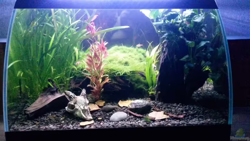 Aquarium Hauptansicht von Becken 34034 Aquarium Hauptansicht von Becken 34034