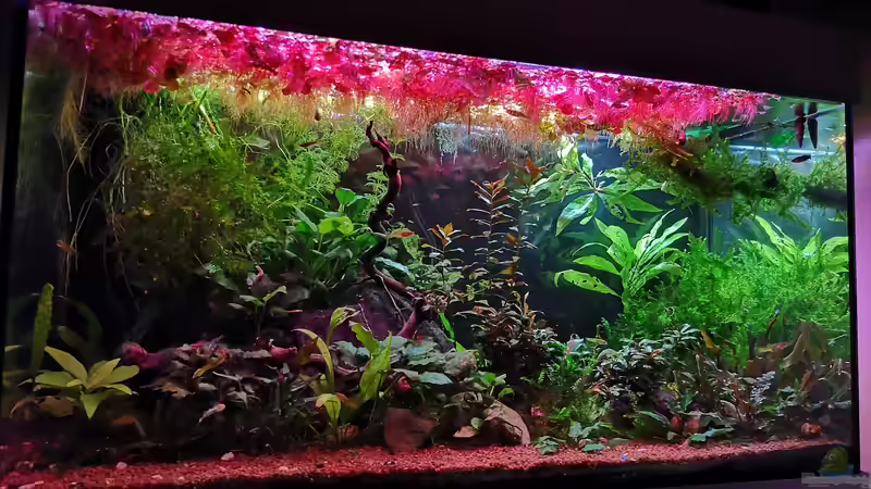 Aquarium Hauptansicht von Becken 34170 Aquarium Hauptansicht von Becken 34170