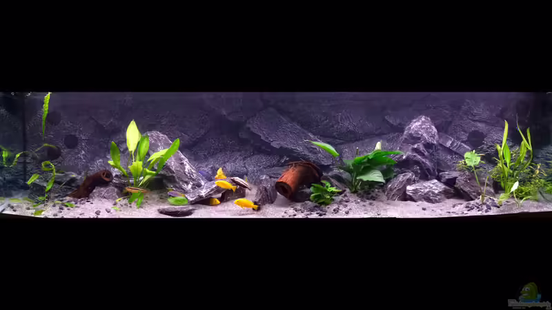 Aquarium Hauptansicht von Becken 34206 Aquarium Hauptansicht von Becken 34206