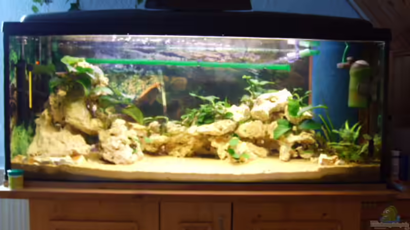 Aquarium Hauptansicht von Becken 3451 Aquarium Hauptansicht von Becken 3451