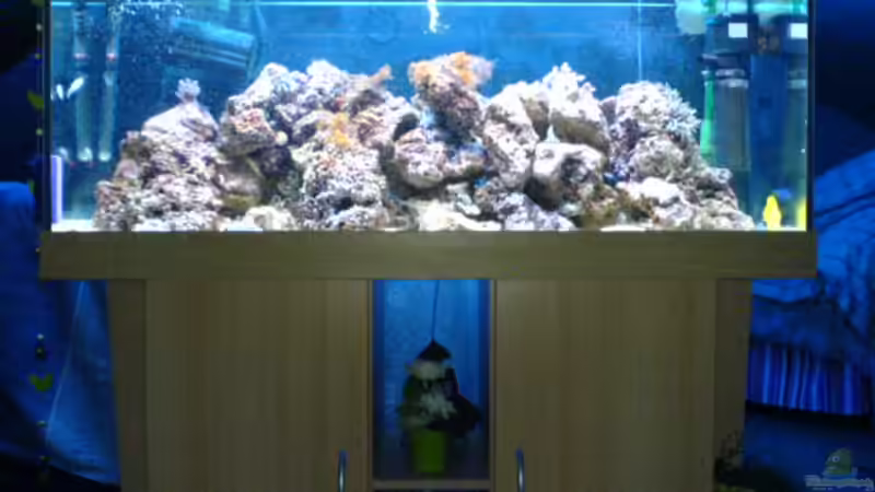 Aquarium Hauptansicht von Becken 3532 Aquarium Hauptansicht von Becken 3532