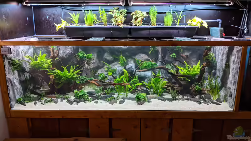 Aquarium Hauptansicht von Becken 35673 Aquarium Hauptansicht von Becken 35673