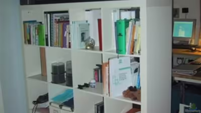 Aquarium Hauptansicht von Becken 357 Aquarium Hauptansicht von Becken 357