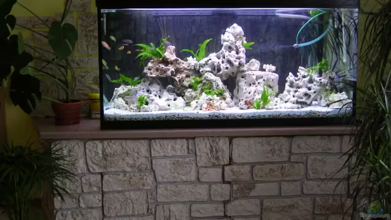 Aquarium Hauptansicht von Becken 359 Aquarium Hauptansicht von Becken 359