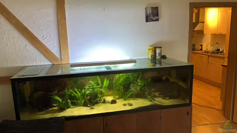 Aquarium Hauptansicht von Becken 36089 Aquarium Hauptansicht von Becken 36089