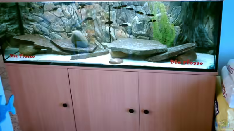 Aquarium Hauptansicht von Becken 4357 Aquarium Hauptansicht von Becken 4357