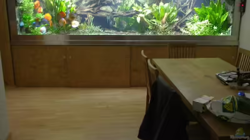 Aquarium Hauptansicht von Becken 4412 Aquarium Hauptansicht von Becken 4412