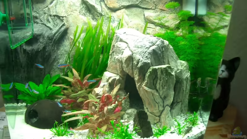 Aquarium Hauptansicht von Becken 4414 Aquarium Hauptansicht von Becken 4414