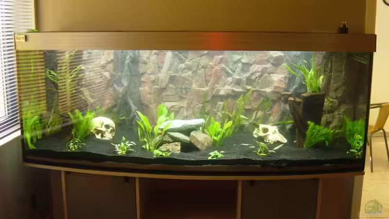 Aquarium Hauptansicht von Becken 4645 Aquarium Hauptansicht von Becken 4645