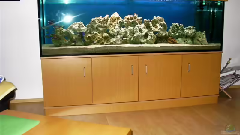 Aquarium Hauptansicht von Becken 491 Aquarium Hauptansicht von Becken 491