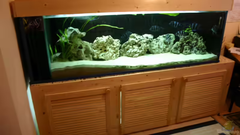 Aquarium Hauptansicht von Becken 533 Aquarium Hauptansicht von Becken 533