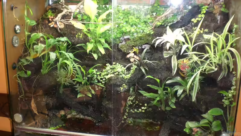 Aquarium Hauptansicht von Becken 5515 Aquarium Hauptansicht von Becken 5515