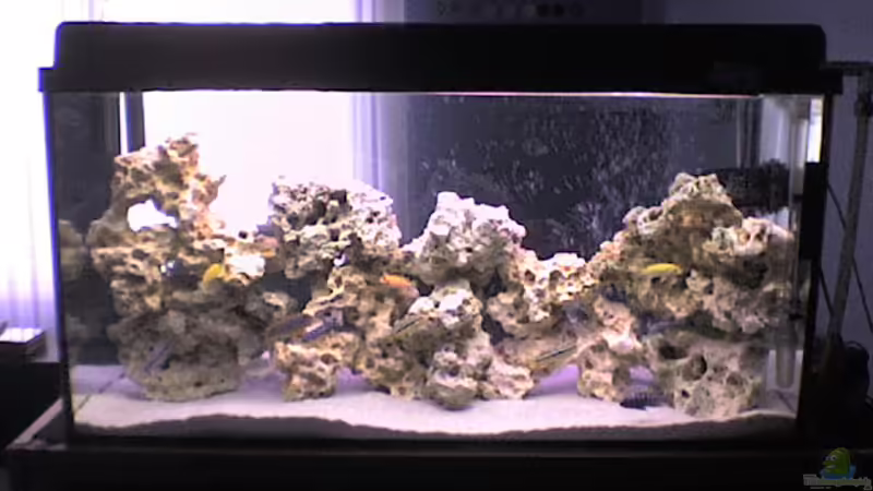 Aquarium Hauptansicht von Becken 5558 Aquarium Hauptansicht von Becken 5558