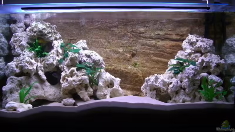 Aquarium Hauptansicht von Becken 5614 Aquarium Hauptansicht von Becken 5614